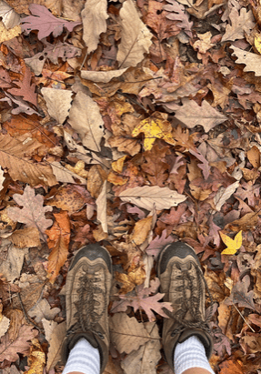 Nearby Walks